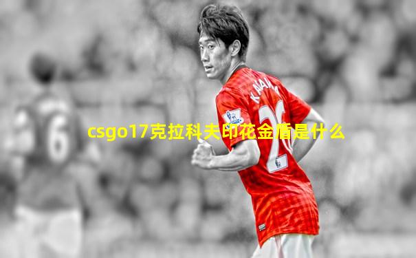 csgo17克拉科夫印花金盾是什么