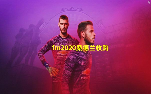 fm2020桑德兰收购