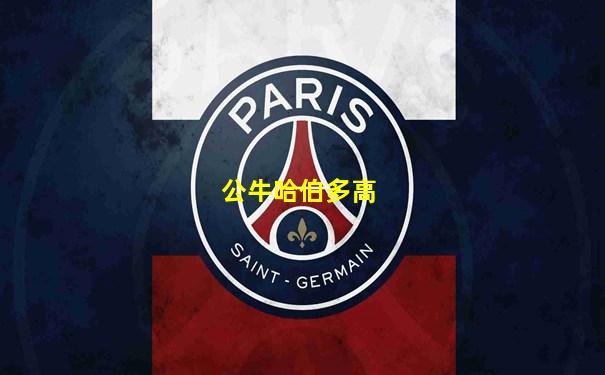 公牛哈伯多高
