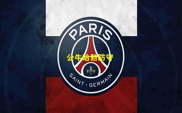 公牛哈勃防守