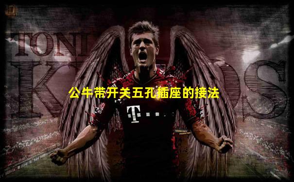 公牛带开关五孔插座的接法