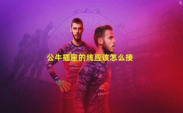 公牛插座的线应该怎么接