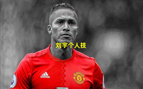 刘宇个人技