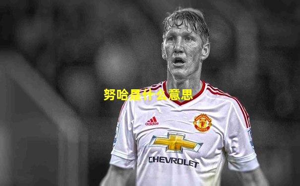 努哈是什么意思