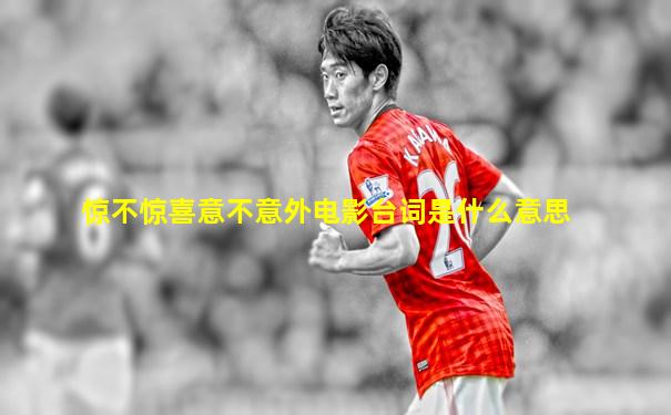 惊不惊喜意不意外电影台词是什么意思