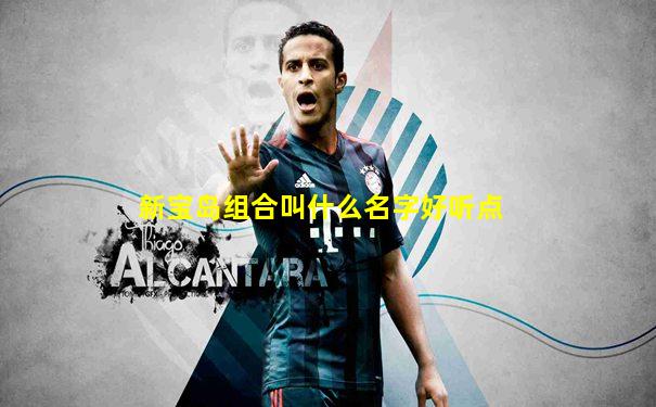 新宝岛组合叫什么名字好听点