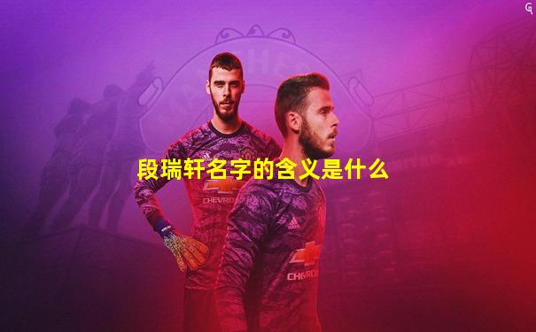 段瑞轩名字的含义是什么