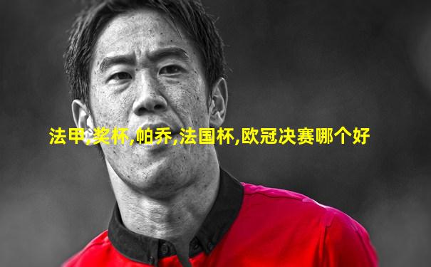 法甲,奖杯,帕乔,法国杯,欧冠决赛哪个好