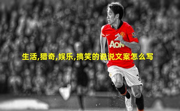 生活,猎奇,娱乐,搞笑的说说文案怎么写