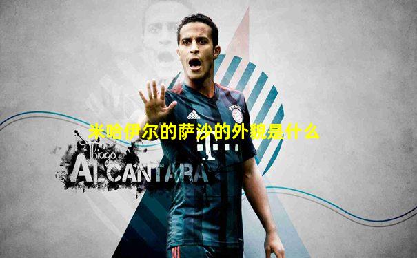 米哈伊尔的萨沙的外貌是什么