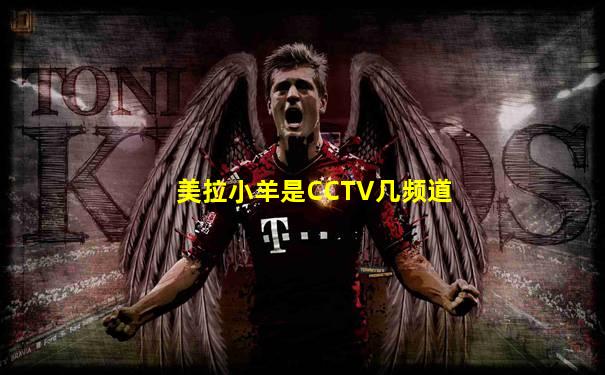美拉小羊是CCTV几频道