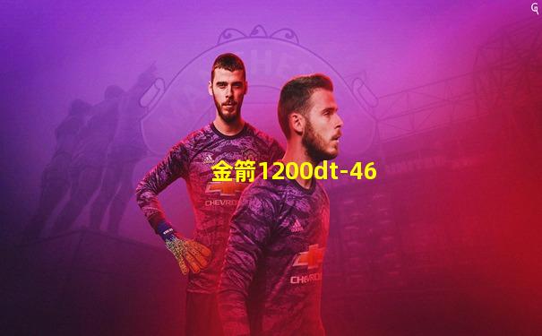 金箭1200dt-46